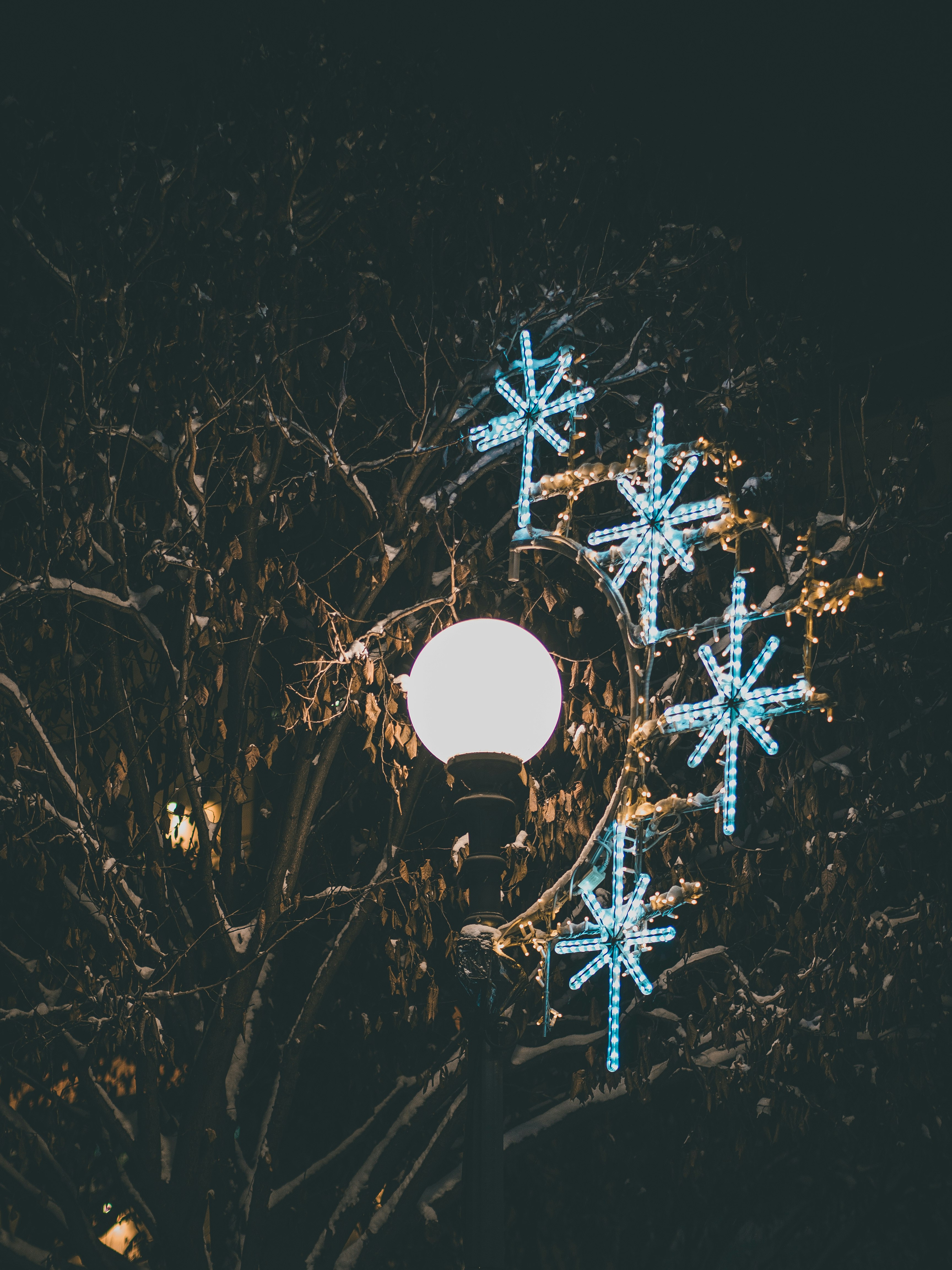 white and blue string lights